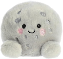 Load image into Gallery viewer, Lunar New Year Toys

