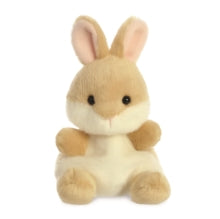 Load image into Gallery viewer, Lunar New Year Toys
