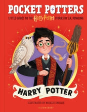 Load image into Gallery viewer, Pocket Potters- Little Guides to the Harry Potter Series
