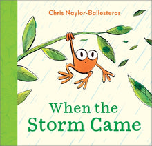 Load image into Gallery viewer, When the Storm Came
