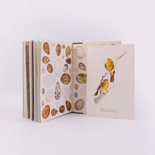 Load image into Gallery viewer, PRE-ORDER: The Book of Birds : A Field Guide to Wonder and Loss (7th May)
