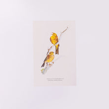 Load image into Gallery viewer, PRE-ORDER: The Book of Birds : A Field Guide to Wonder and Loss (7th May)
